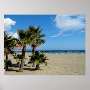 Beach and palms at Puerto Banus Poster