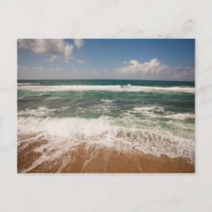 Beach And Scascape Postcard