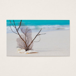 beach-and-sea-concept beach beauty blue caribbean