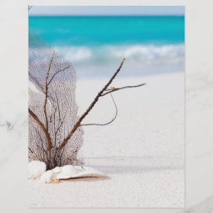 beach-and-sea-concept beach beauty blue caribbean