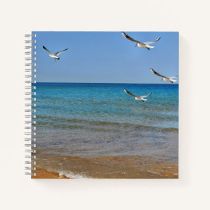 Beach and Seagulls Notebook