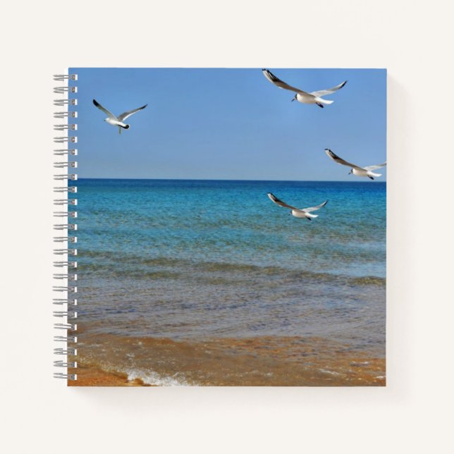 Beach and Seagulls Notebook (Front)