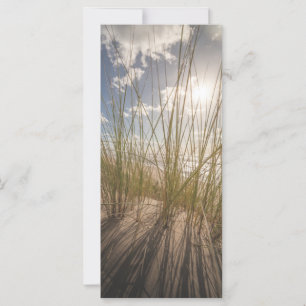 Beach and Sun Nature Photo Card