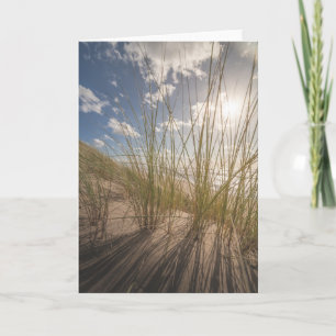 Beach and Sun Nature Photo Card