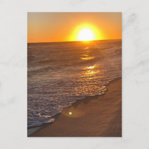 Beach announcement postcard
