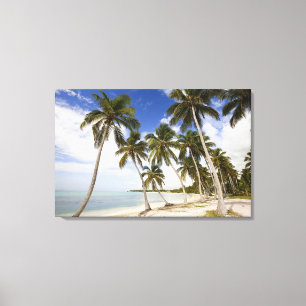Beach at Punta Cana Canvas Print