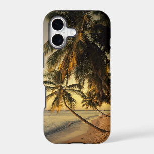 Beach at sunset, Trinidad