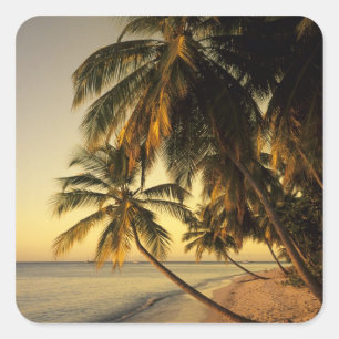 Beach at sunset, Trinidad Square Sticker