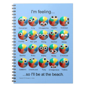 Beach Ball Emotions Spiral Notebook