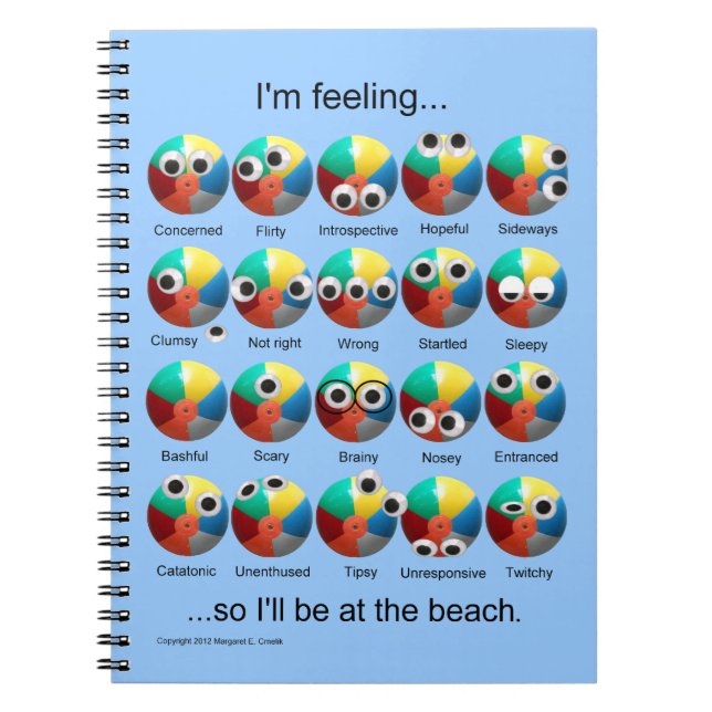 Beach Ball Emotions Spiral Notebook (Front)