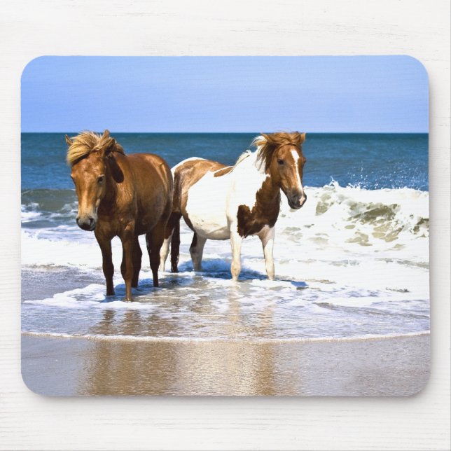 Beach Beauties Horses mouse pad (Front)