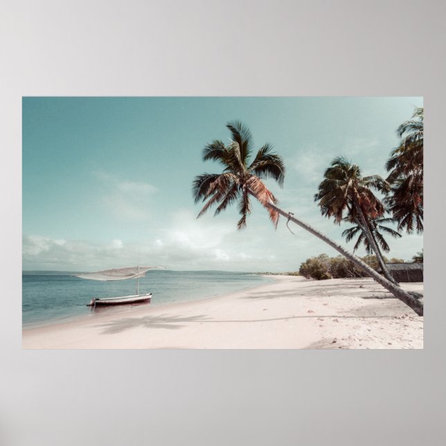 Beach beside coconut palm tree poster (Front)