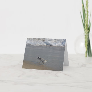 Beach Birds Card