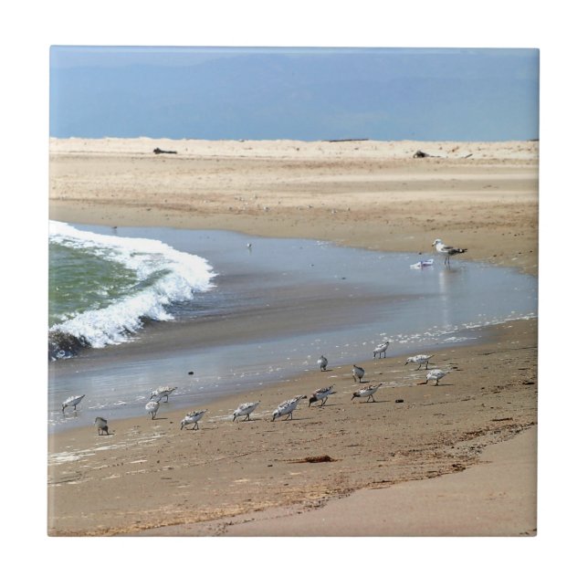 Beach Birds Tile (Front)