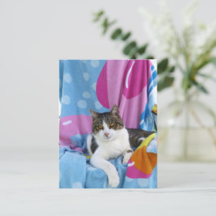 Beach Blanket Cutie Postcard