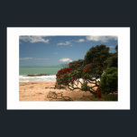 Beach Bliss - Pohutukawa Tree Poster<br><div class="desc">Get in touch with nature.  Immerse yourself into this scene of peace and beauty.  The calmer you are,  the clearer you think.  Let your decisions come from a place of peace.
Hang this gentle reminder in your home,  office or favorite place of meditation.</div>