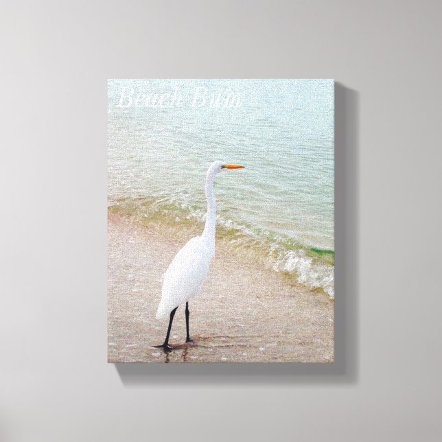 Beach Bum Bird Canvas Print (Front)