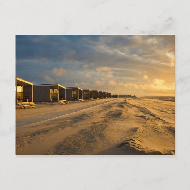 Beach cabins at sunset at the dutch coast postcard (Front)