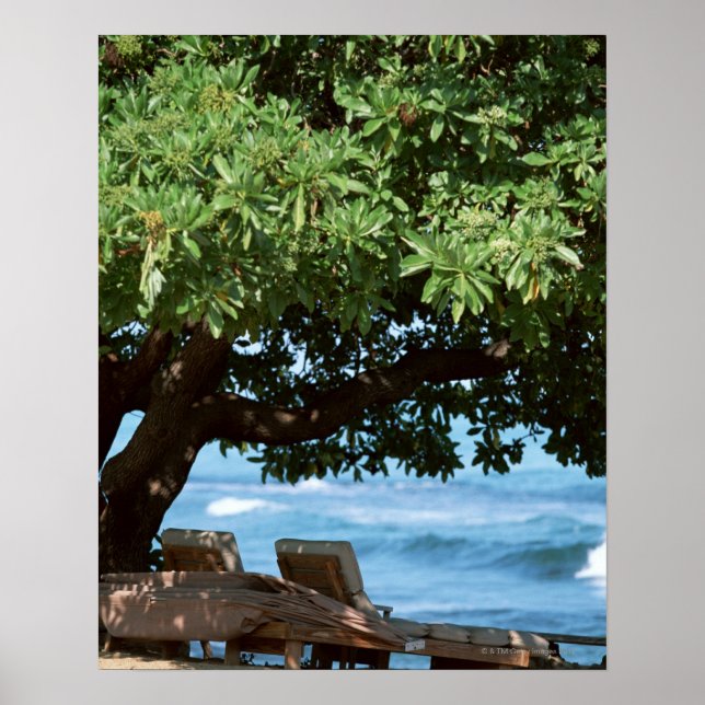 Beach Chair 2 Poster (Front)