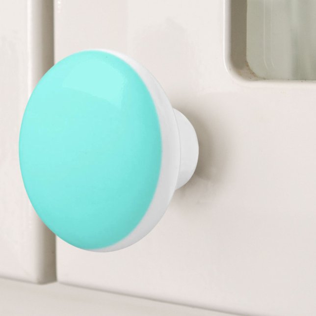 beach chic turquoise aqua Robins Egg Blue Ceramic Knob (beach chic turquoise aqua Robins Egg Blue Ceramic Knob)
