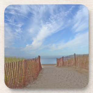 Beach Coaster