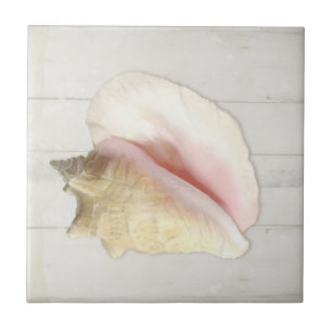 Beach Conch Seashell Coastal Shell White Wood Tile