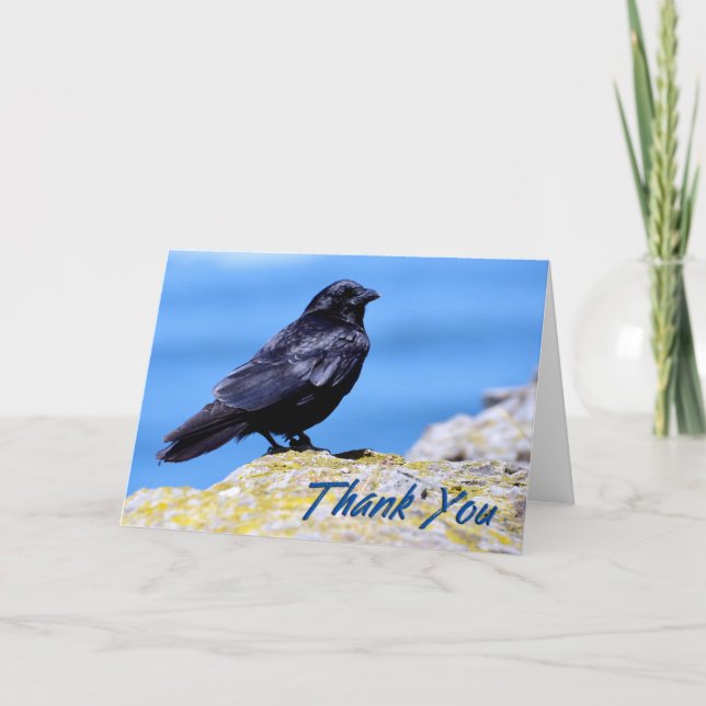 Beach Crow Photo Thank You Card (Front)