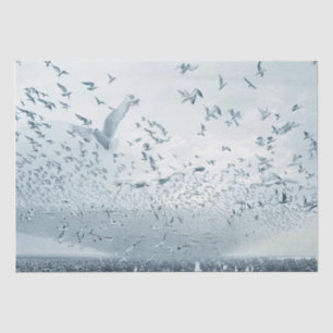 Beach crowd peace dove photo tissue paper