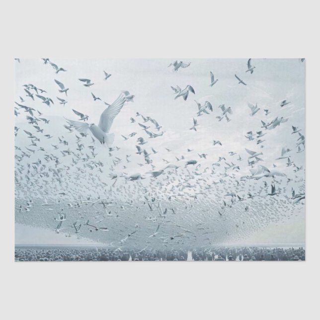 Beach crowd peace dove photo tissue paper (Front)