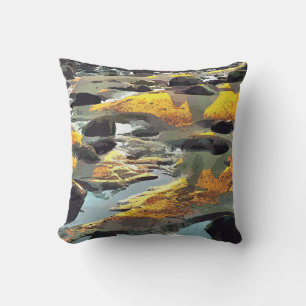 BEACH CUSHION
