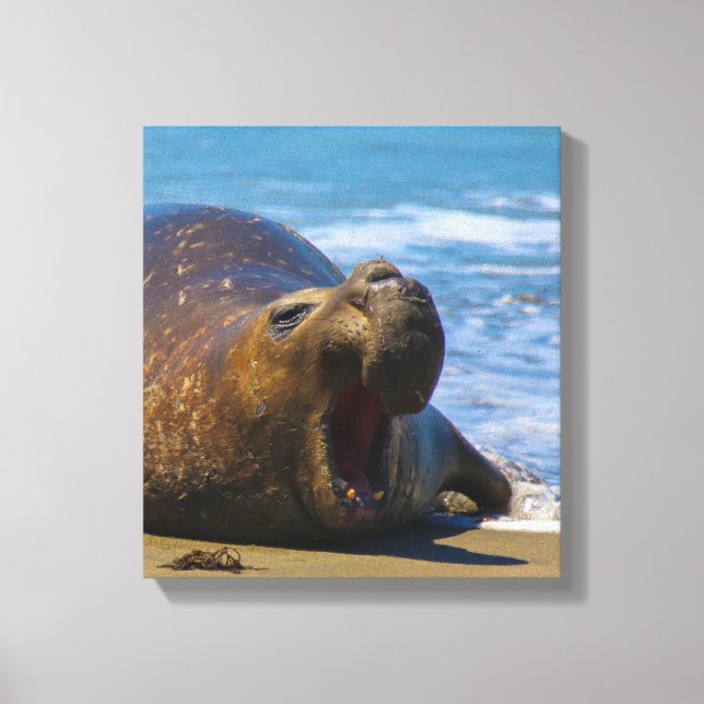 Beach Day Canvas Print (Front)