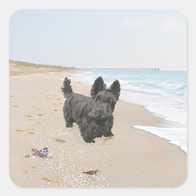 Beach Day Square Sticker (Front)