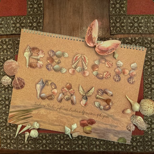 Beach Days, Different Views Calendar (These are some of the sea shells we collected to make this artwork.)