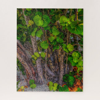 Beach Days, Overcast, Sea Grapes Grow Wild Jigsaw Puzzle
