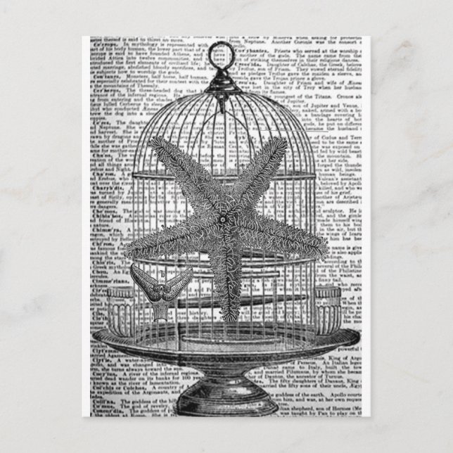 beach dictionary print steampunk Birdcage Starfish Postcard (Front)
