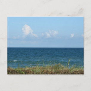 Beach dune with blue water and sky, Florida Postcard