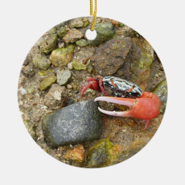 Beach Fiddler crab Ceramic Tree Decoration (Front)