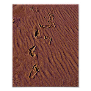 Beach Footprints Photo Print