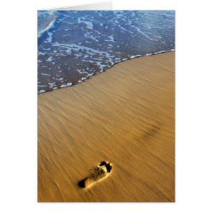 Beach Footsteps