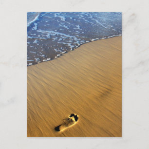 Beach Footsteps Postcard