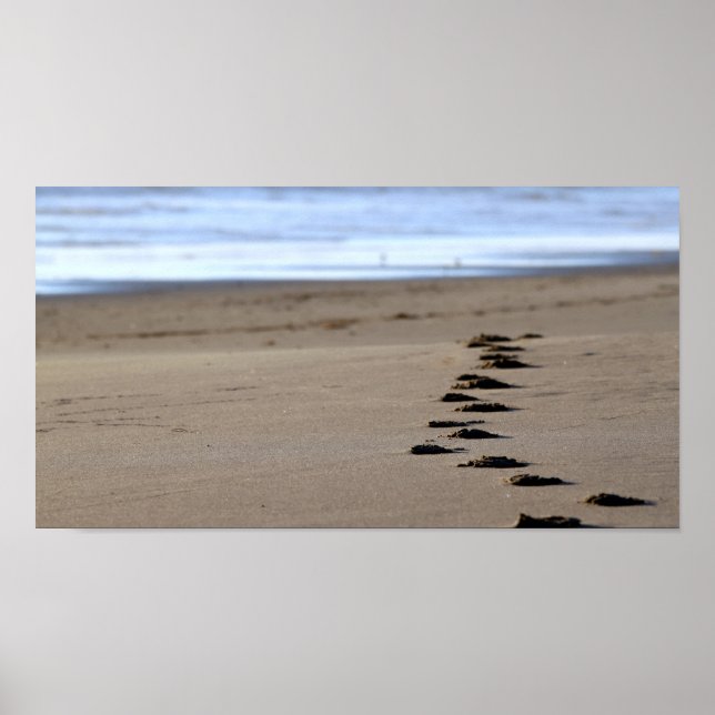 Beach Footsteps Poster (Front)