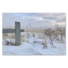 Beach Gift Wrap Tissue Paper