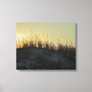 Beach Grass and Dunes at Sunset Canvas Print