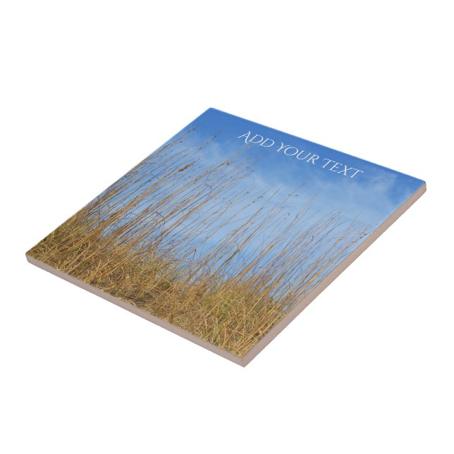 Beach Grass by Shirley Taylor Tile (Side)
