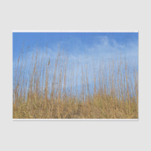 Beach Grass by Shirley Taylor Tissue Paper
