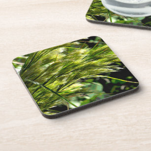 Beach Grass in the Breeze Coaster