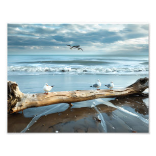 Beach Gulls Photo Print