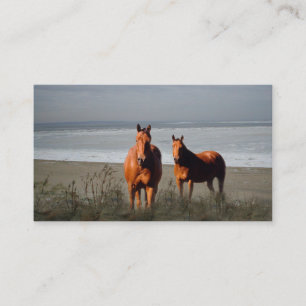 Beach Horses Business Card