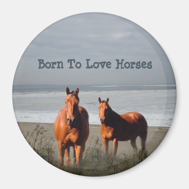 Beach Horses Magnet (Front)