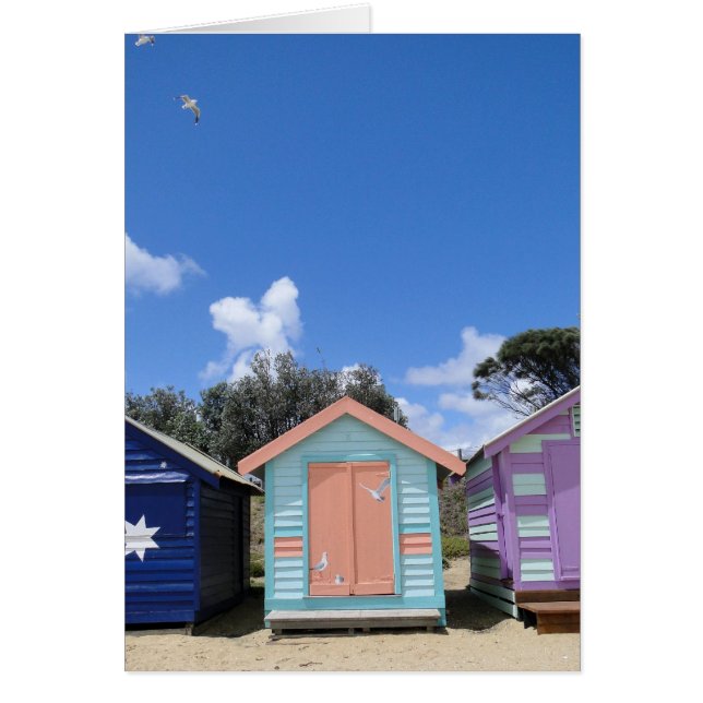 Beach Hut Seaguls (Front)